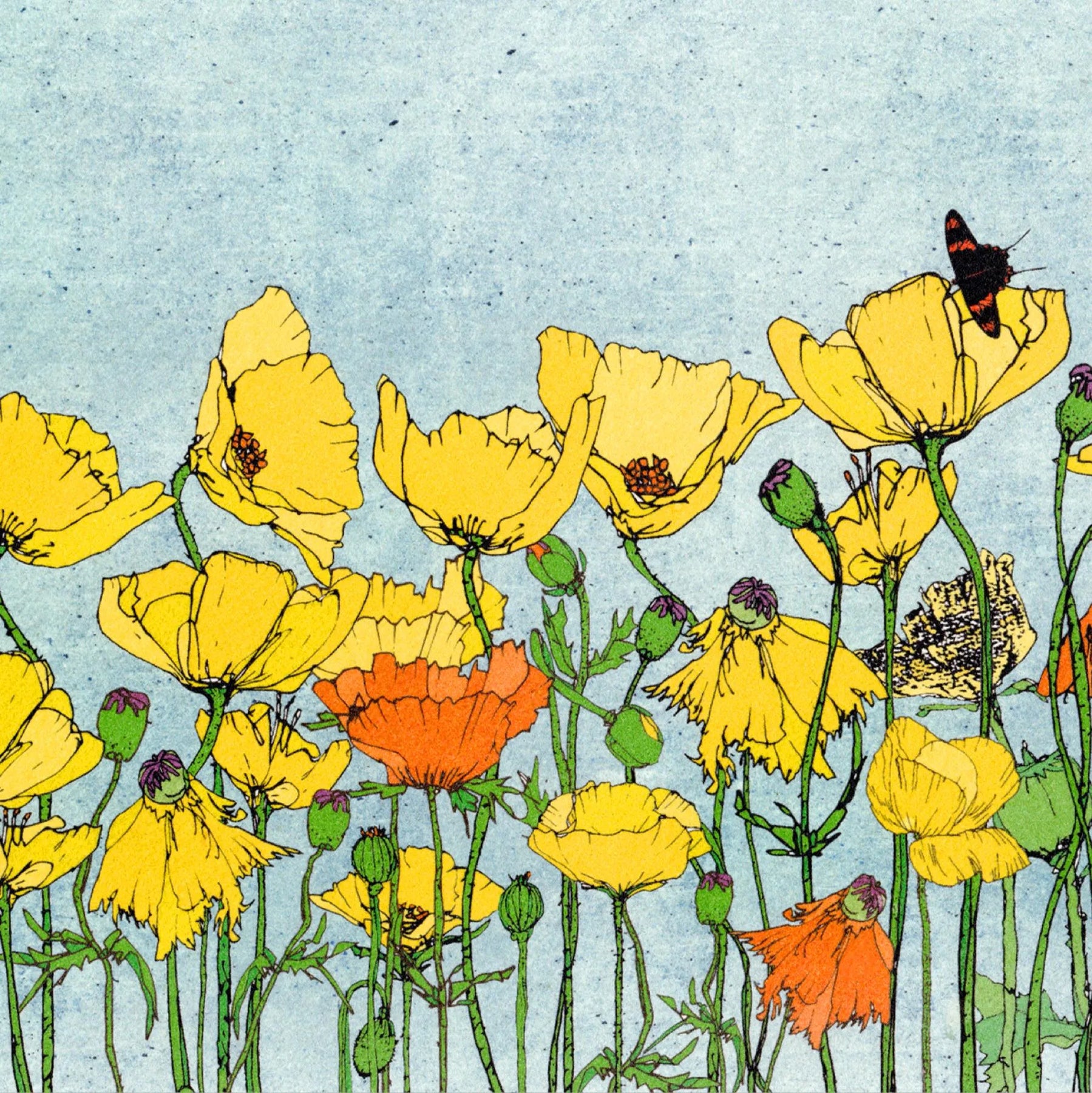 “Poppies_and_swallowtail_butterfly_No.262”